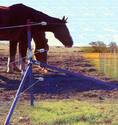 The three-wire-fence corner bracing system showing (1) a vertical corner post; (2) two brace posts at right angles of each other, one end affixed to the corner post, the other end poked into the ground; and (3) wires running from corner post to units atta