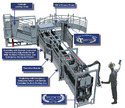 Cattle Turret Gate System